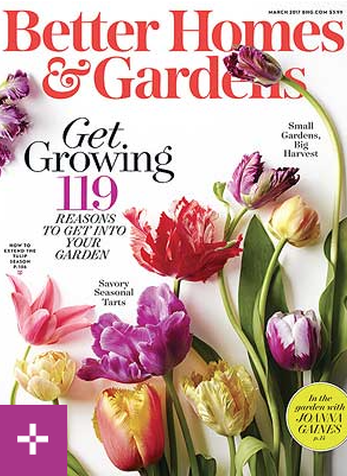 Elegant TWIST, Better Homes & Gardens Makeovers, March 2017